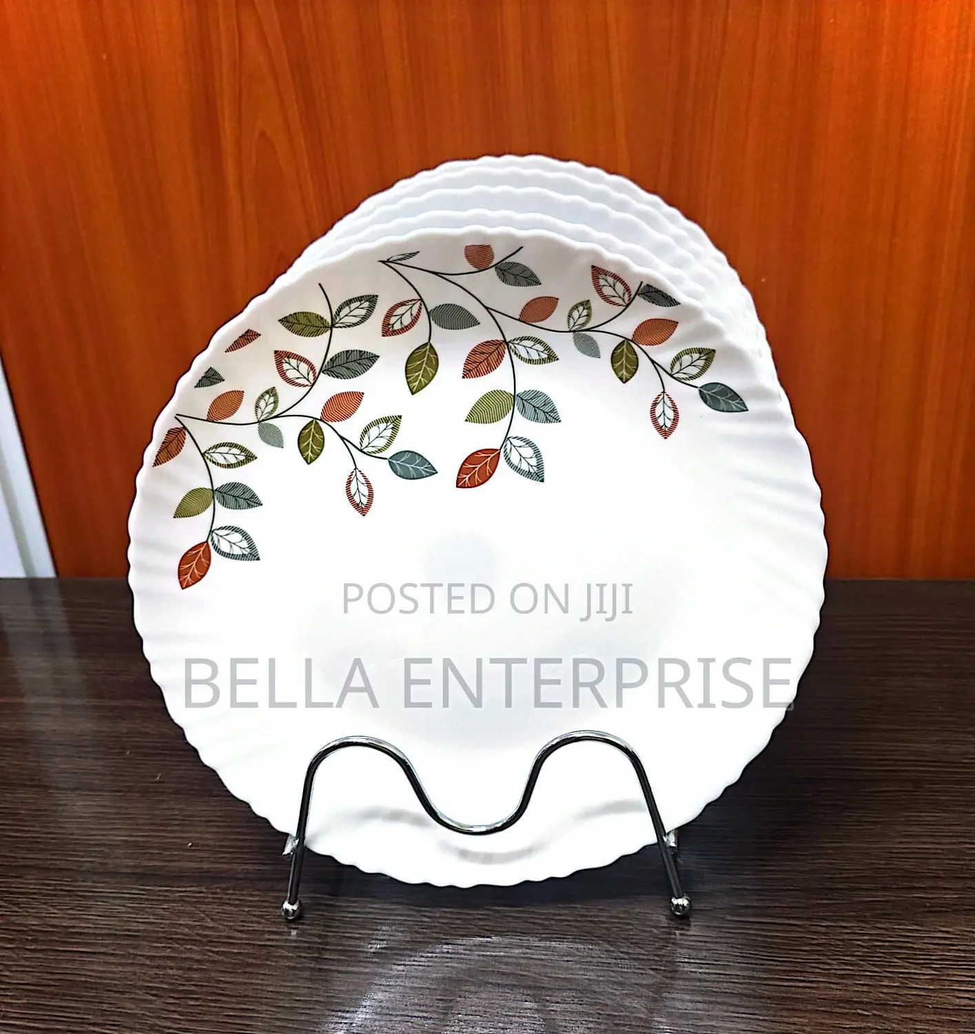 6pcs Dinner Ceramic Plates 10 Ich