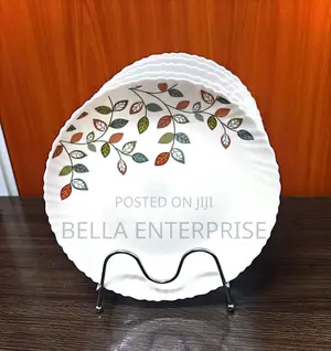 6pcs Dinner Ceramic Plates 10 Ich
