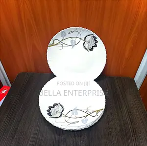 6pcs Dinner Ceramic Plates 10 Ich
