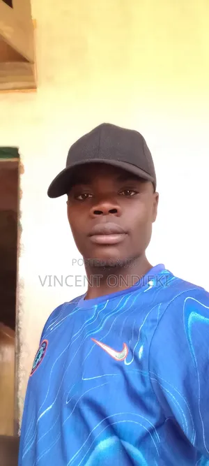 A Worker at Solarpanda Company LMT