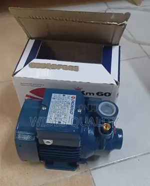 Pedrollo Pump 0.5hp. Surface Water Pump