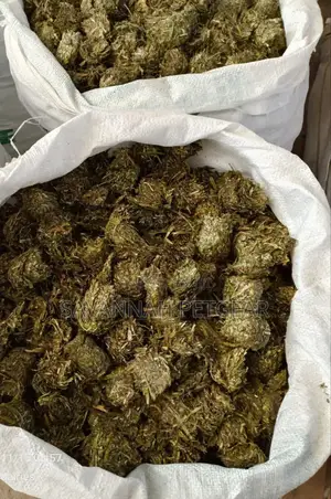 Pure Lucerne Briquettes for Your Livestock - Moq - 10 Bags