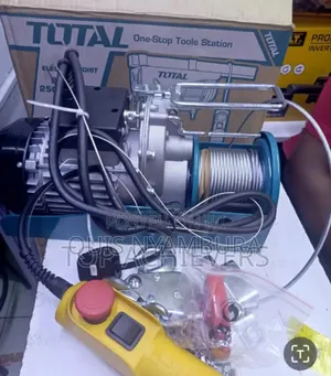Total Electric 0.5ton Hoist/ Electric Hoist 500kg