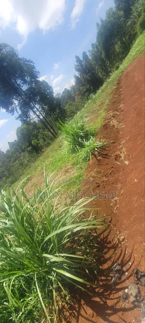 100by 100 Muthure Cura Land For Sale