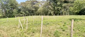 Kahara Upper Matasia