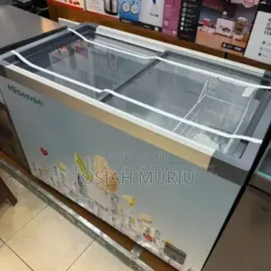 Hisense 301 Litres Store Display Freezer – Strong Cooling Performance