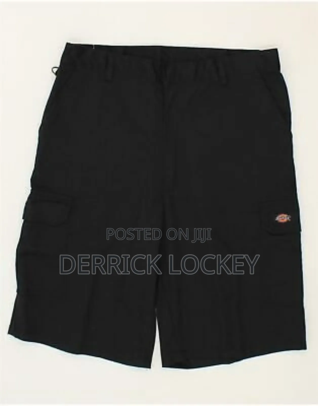 Dickies Shorts