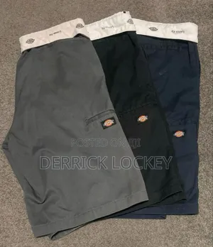 Dickies Shorts