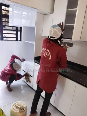 Post Construction Cleaners