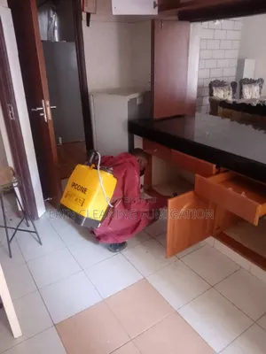 Clean Up After Fumigation Services