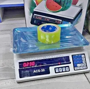 Digital Weighing Scale/ Weighing Scale 30kgs