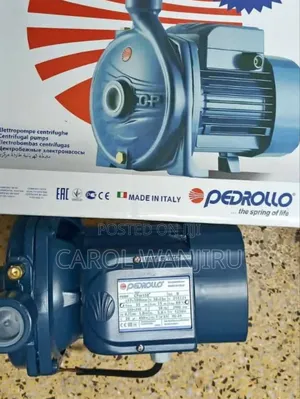 Pedrollo 1hp Booster Pump