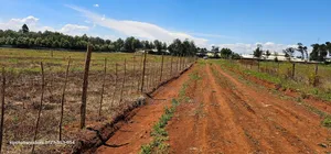 Commercial 1⁄4 Plots for Sale in Marura Eldoret Kimumu Terra Marura