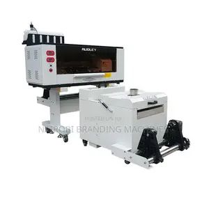 30cm DTF Printer With 2pc Xp600 Print Heads and Powder Shaker