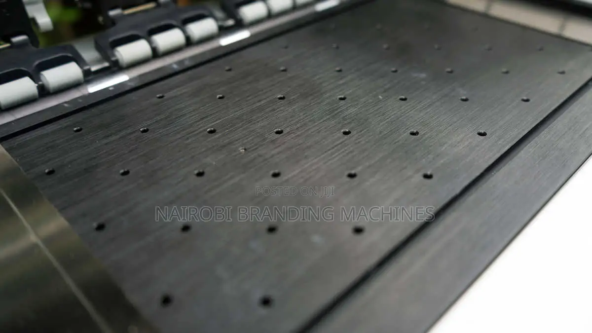 30cm DTF Printer With 2pc Xp600 Print Heads and Powder Shaker
