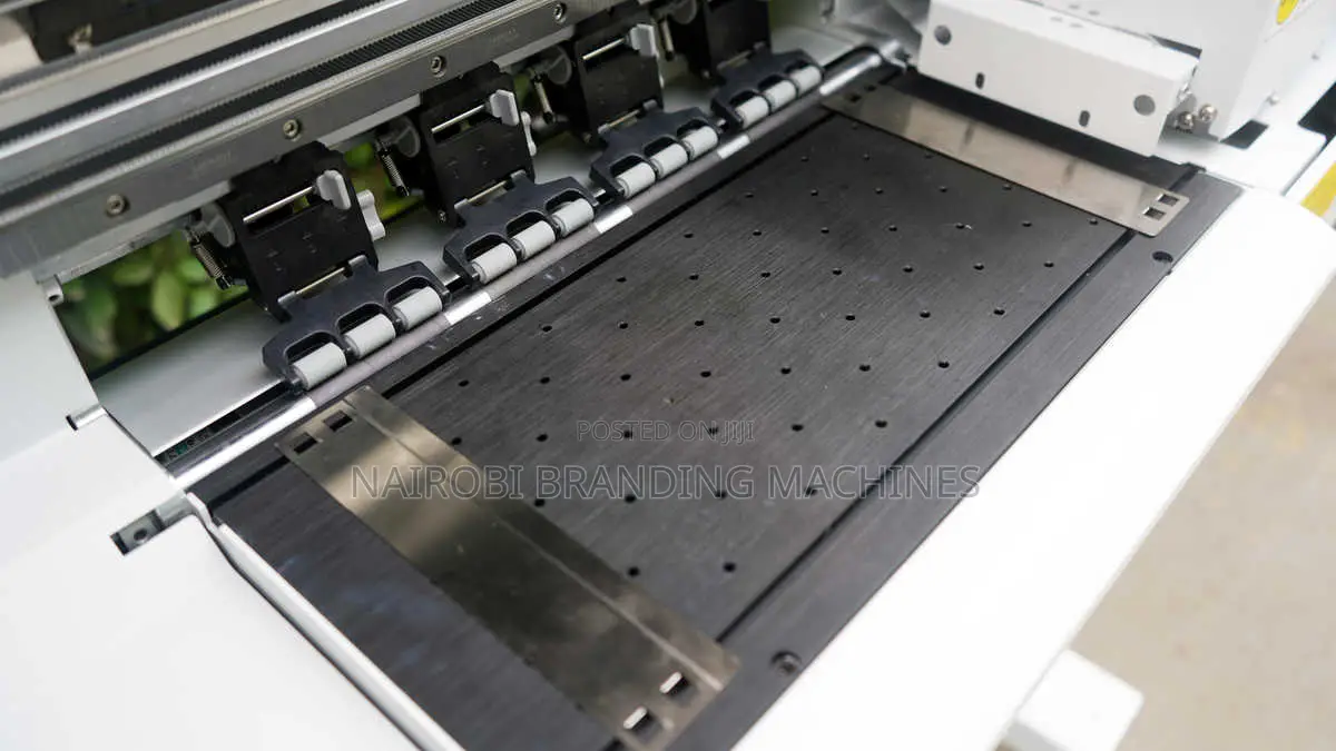 30cm DTF Printer With 2pc Xp600 Print Heads and Powder Shaker