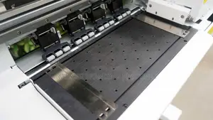 30cm DTF Printer With 2pc Xp600 Print Heads and Powder Shaker
