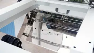 30cm DTF Printer With 2pc Xp600 Print Heads and Powder Shaker