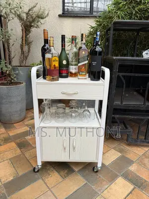Two Tier Unit With a Drawer a Lower Cabinet Mobile Multipurpose Car