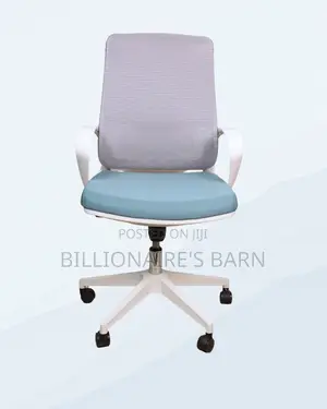 Executive Ergonomic Moving — Office | Nairobi Delivery Guaranteed