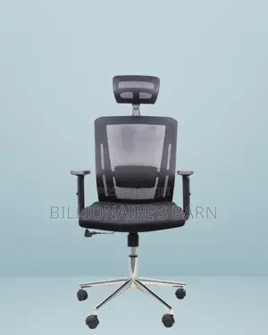 Ergonomic Mesh Chair With Headrest | Comfort Meets Style