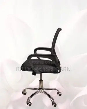 Stylish Office Secretarial Mesh Nylon | Best Deal Online