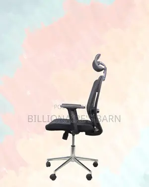 Ergonomic Mesh Chair With Headrest | Designed for Long Hours