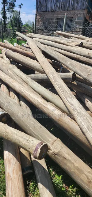 12 Ft Treated Poles
