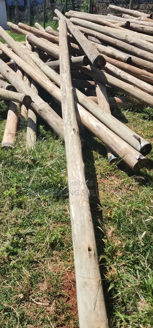12 Ft Treated Poles