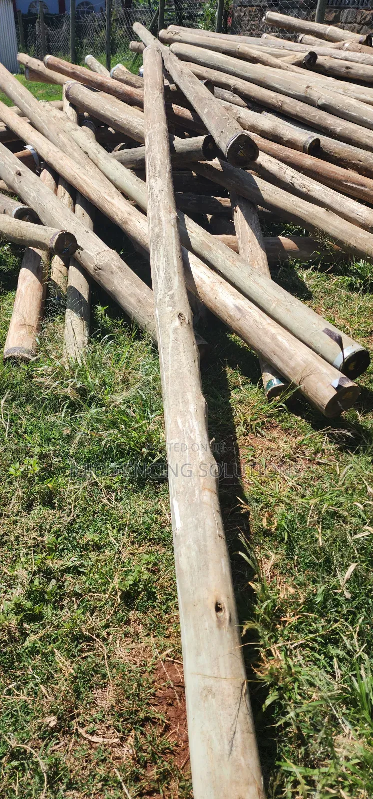 12 Ft Treated Poles
