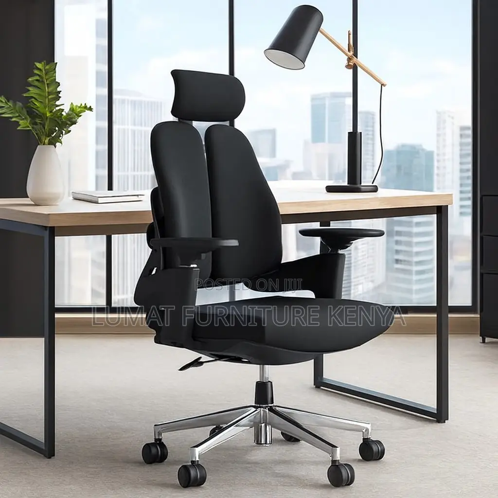 Ergonomic Orthopedic Chair