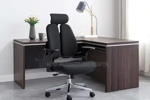 Ergonomic Orthopedic Chair
