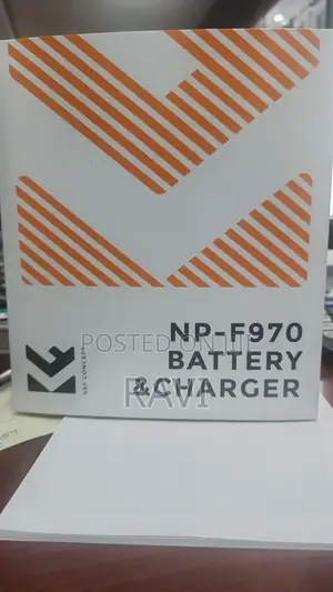 Np-F970 Dual Battery and Charger