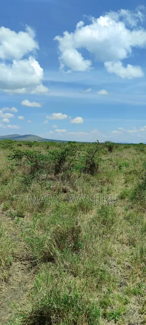 50 by 100 Konza City Plots