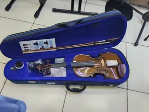 Stentor Violin