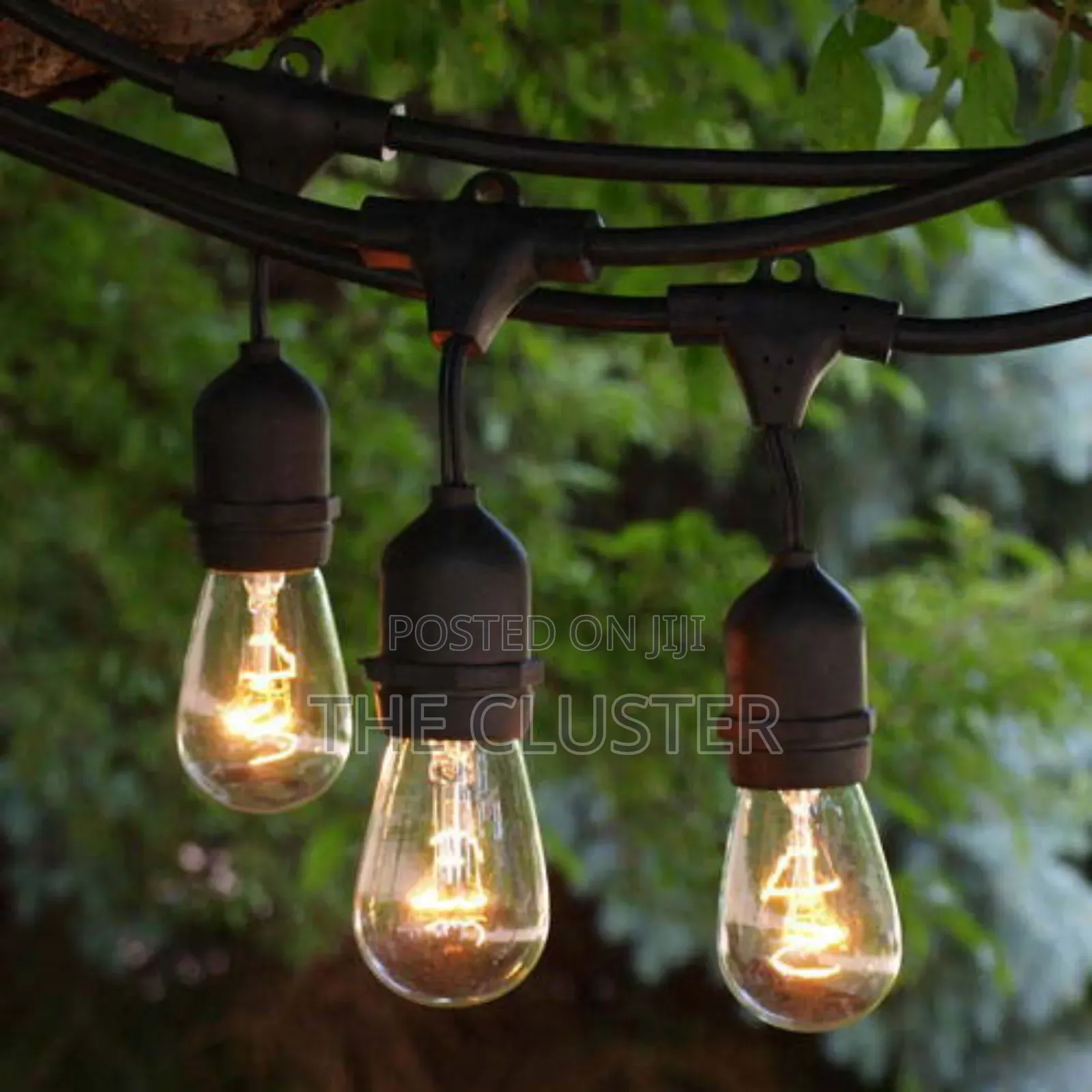 Commercial Outdoor String Lights 20mtrs