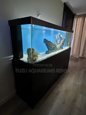 Spark Joy With a Living Aquarium