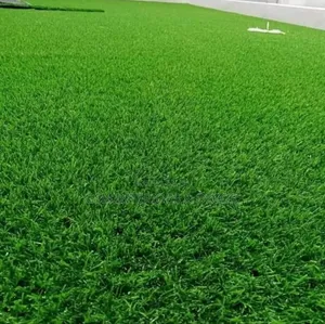 Green Grass for Floors and Walls