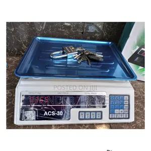 Acs Digital Rechargeable Weighing Scale *Without Arm**