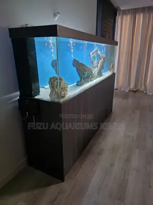 Your Dream Aquarium Is One Click Away (Cabinet Included)