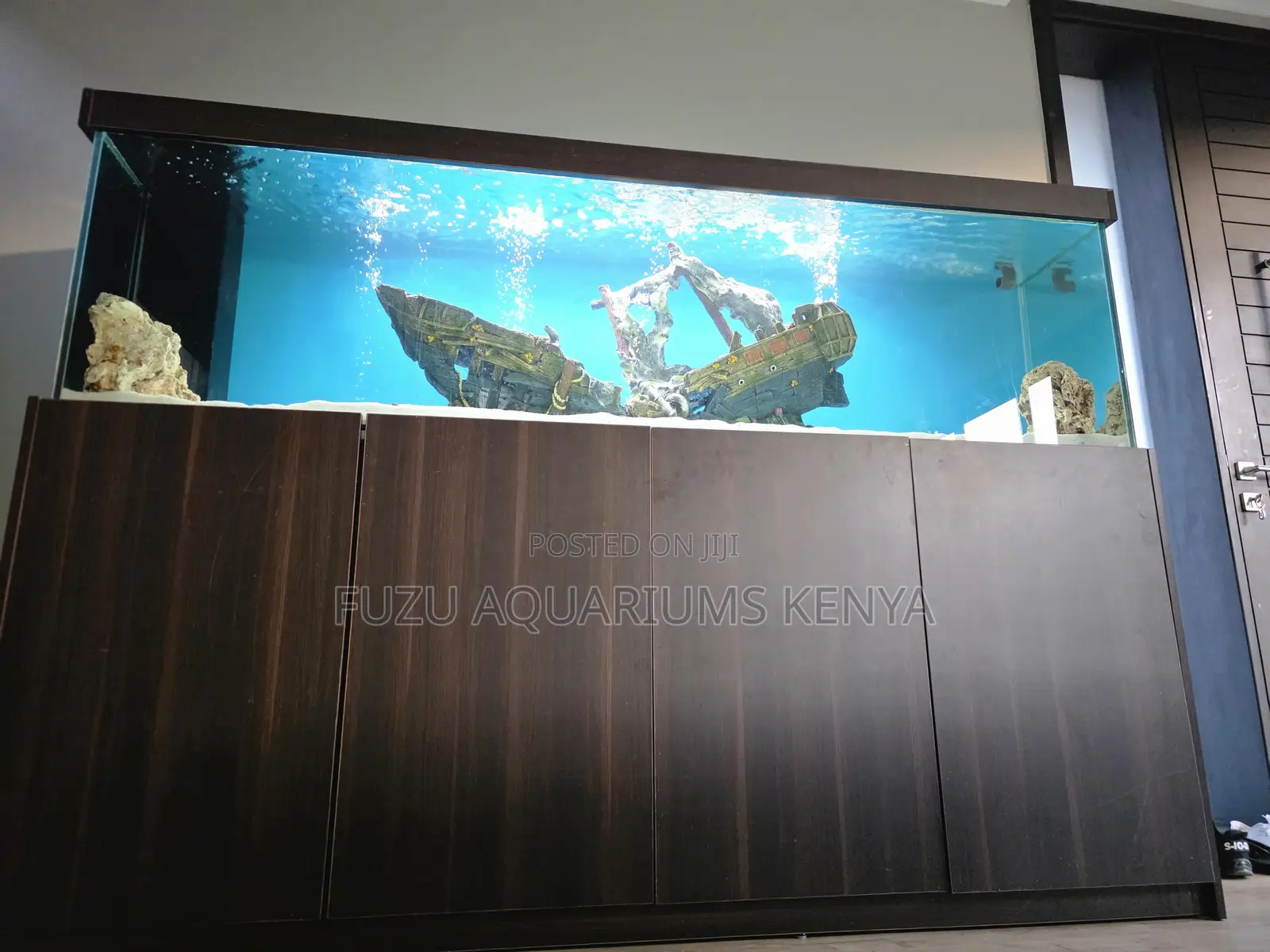The Complete Aquarium Experience at Home