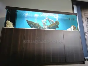 The Complete Aquarium Experience at Home