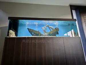Aquarium Elegance: Transform Your Living Space