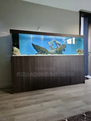Mesmerizing Led-Lit Aquarium + Premium Cabinet –Your Dream Tank Awaits