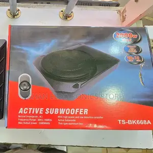 Car Sound Under Seat Subwoofers 10" Woofer Speaker Bk668