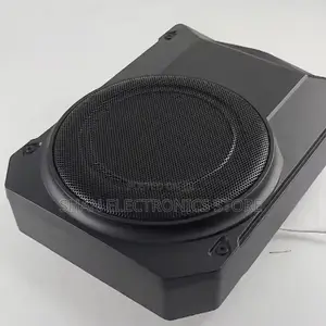 New Affordable Bk668 10-Inch Amplified Flat Bass Subwoofer 2000w
