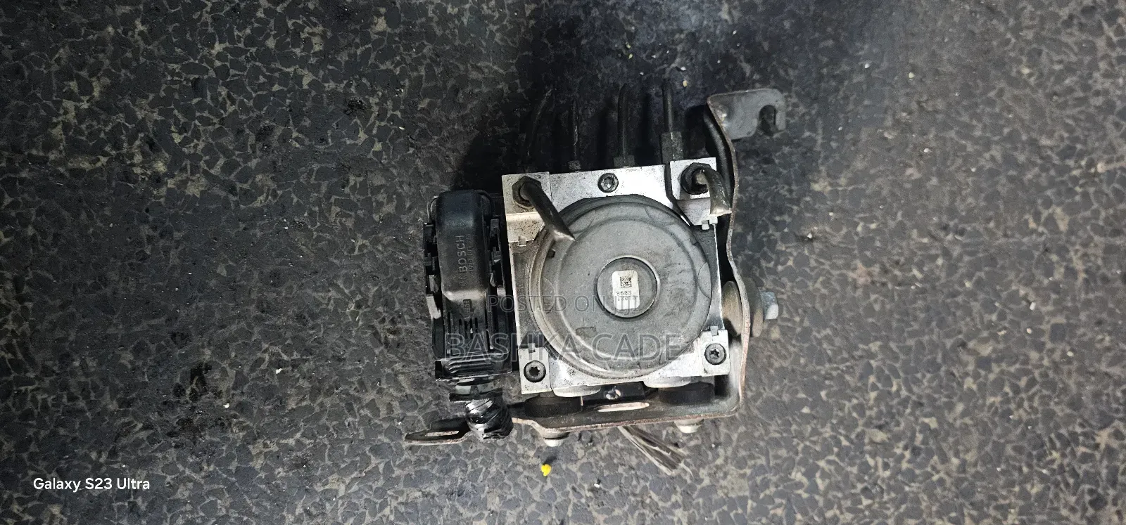 Honda Nwug
