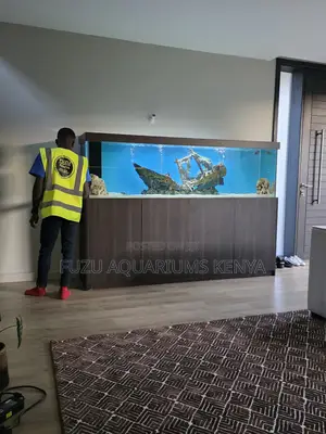 Luxury Aquarium With Cabinet for Modern Homes