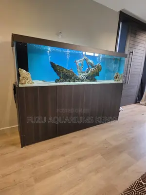 A Grand Aquarium Setup for Serious Home Aesthetics
