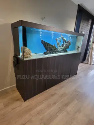 Aquarium With Cabinet That Brings Life, Color, and Calm